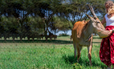 Lifetime 7-Day Tanzania Safari